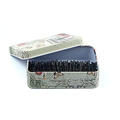 Mini Bobby Pins Black with Cute Case